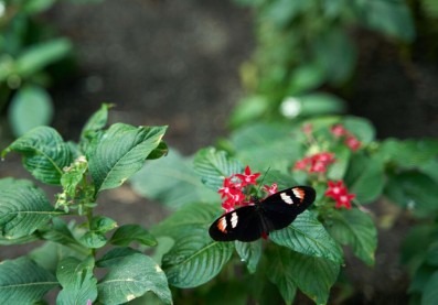 211205_mariposario_004-1024x683