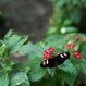 211205_mariposario_004-1024x683